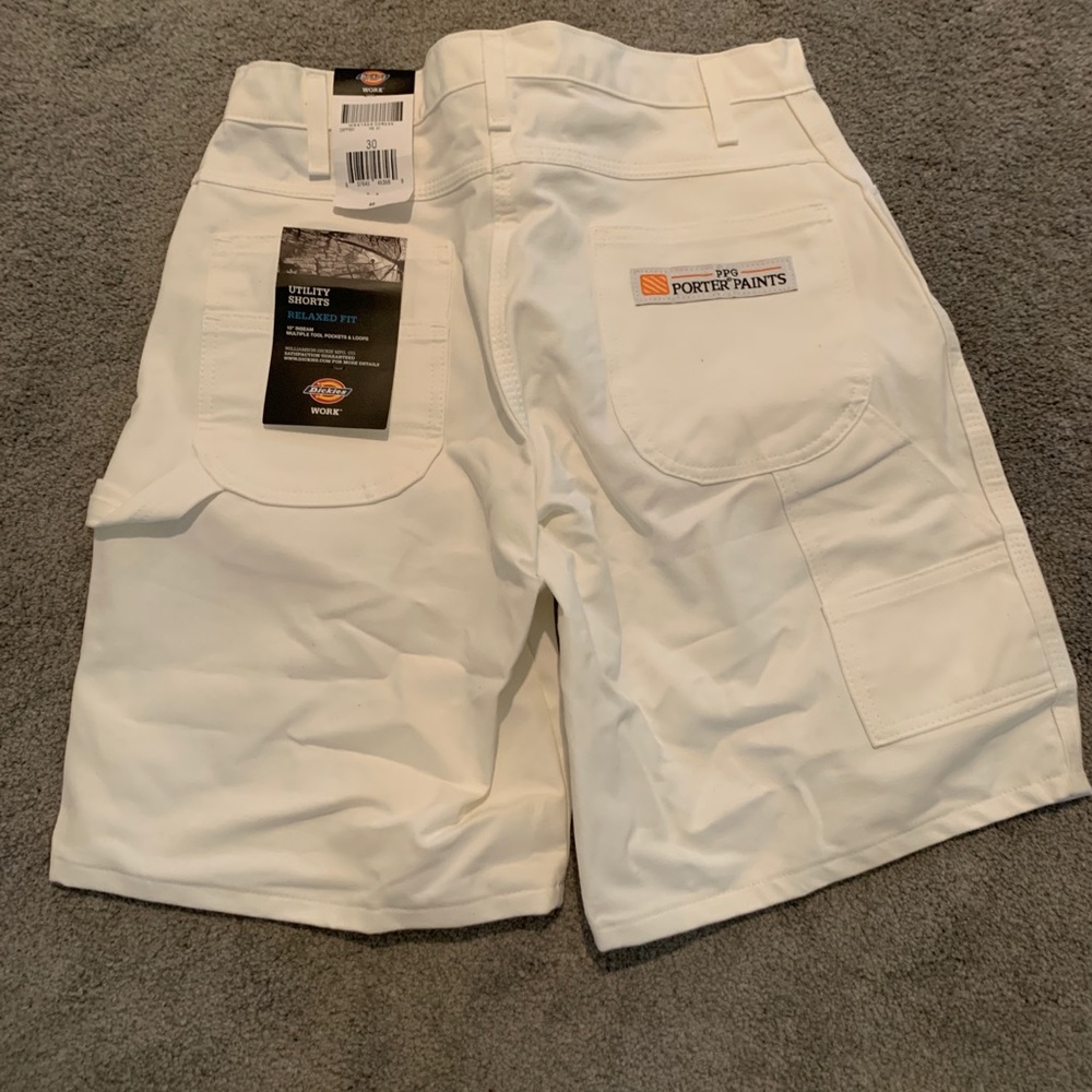 Dickies Work Painter Shorts